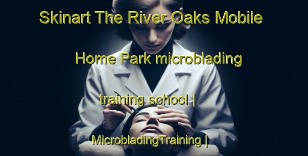 Skinart The River Oaks Mobile Home Park microblading training school | MicrobladingTraining | MicrobladingClasses | SkinartTraining-United States